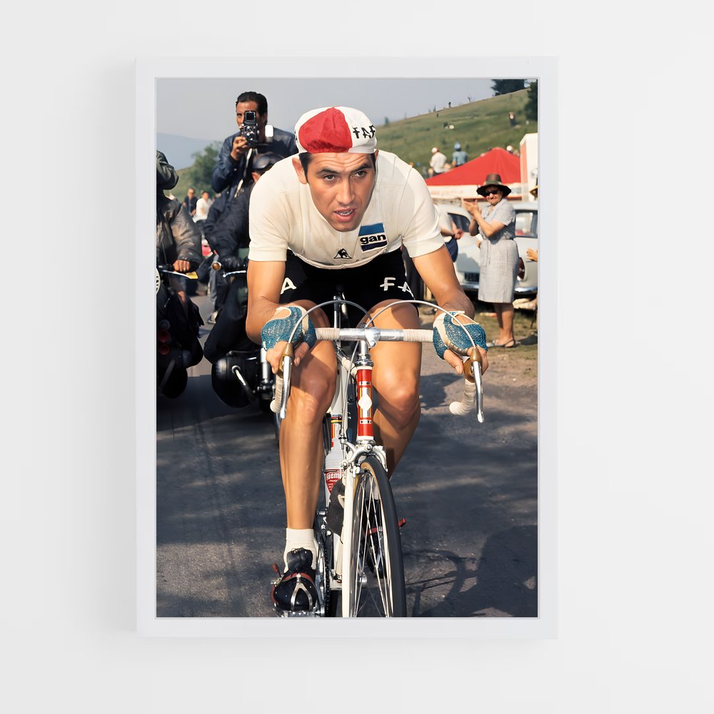 Poster Eddy de merckx – affiche Cyclisme (vue 3)